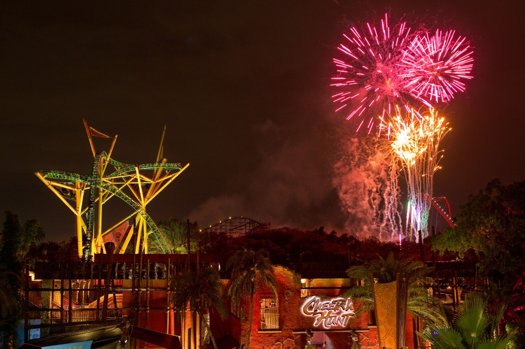 Cheetah Hunt Fireworks