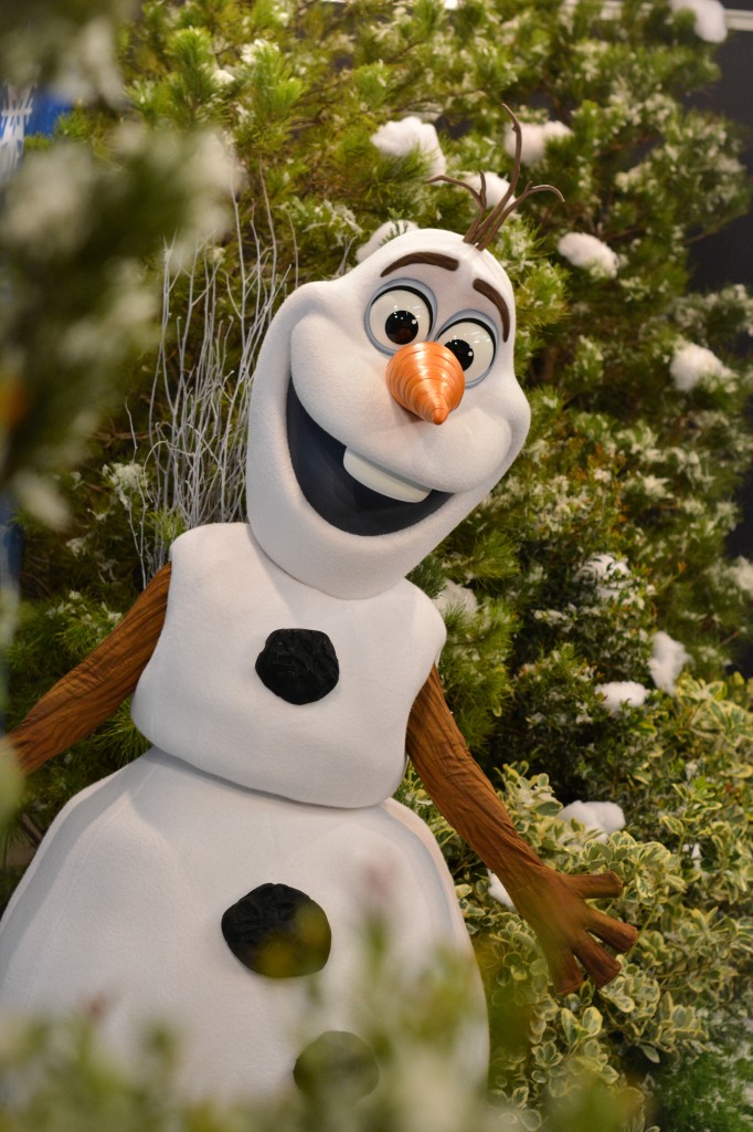 Olaf-All-Parks-Use