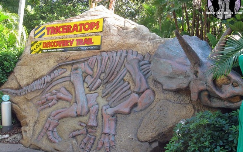 new triceratops discovery