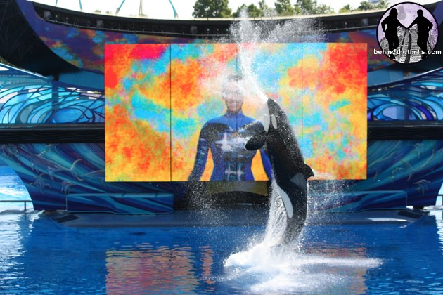 Behind The Thrills | One Ocean debuts at Seaworld Orlando with a splash ...