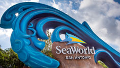 Behind The Thrills Rumor Mill Seaworld San Antonio Getting Massive Expansion Behind The Thrills