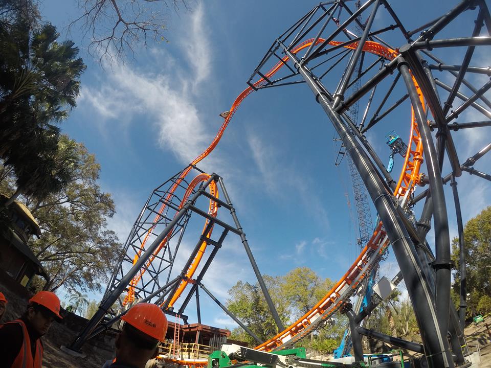 Tigris, tiger themed roller coaster, opens at Busch Gardens