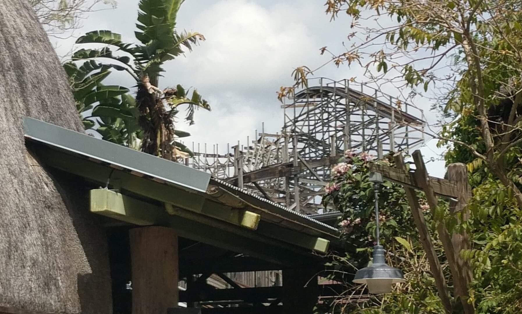 Behind The Thrills Gwazi Construction Height And Tigris Updates