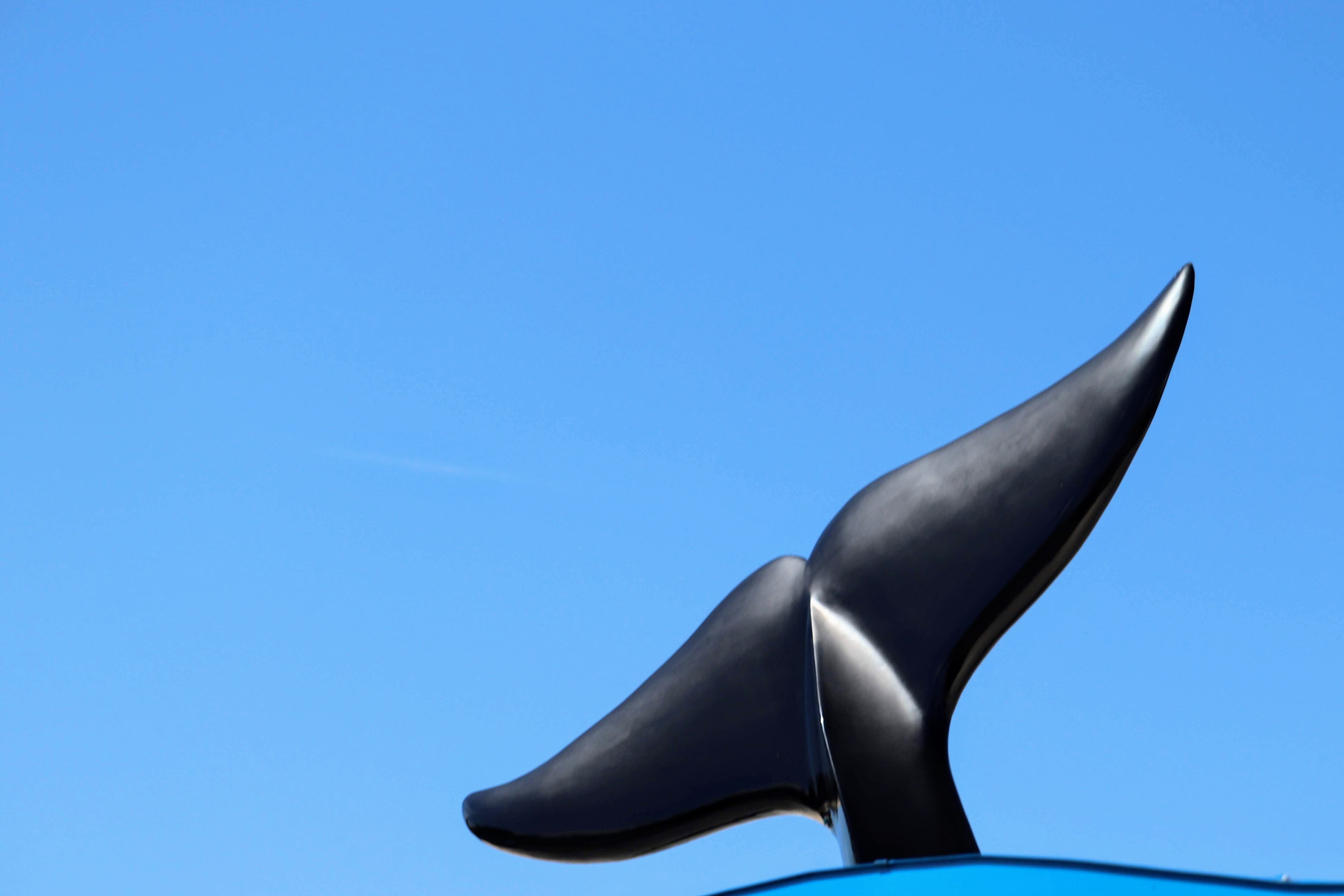 Behind The Thrills | SeaWorld Comeback Solidified With First Quarter ...