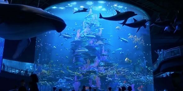 Behind The Thrills Rumor Mill Epcot s Seas with Nemo and