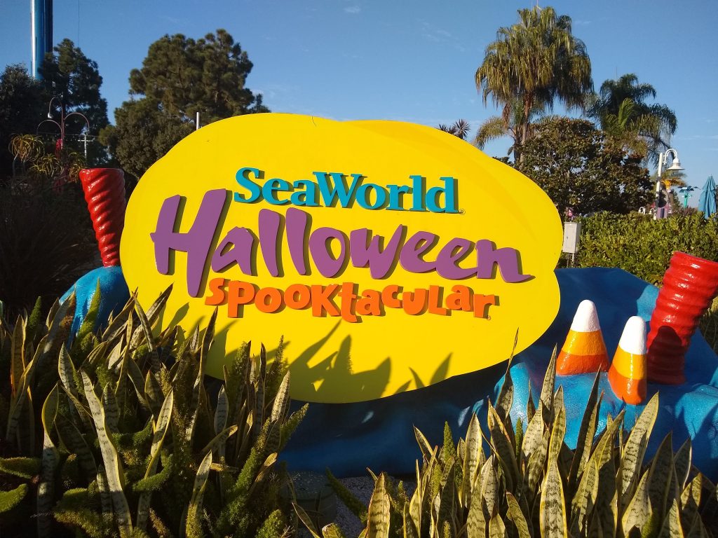 Behind The Thrills SeaWorld San Diego What to Know Before You Go