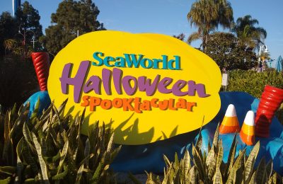 Behind The Thrills Breaking Seaworld Orlando Gets Approval To Reopen June 11 Behind The Thrills - seaworld roblox san diego seaworldroblox