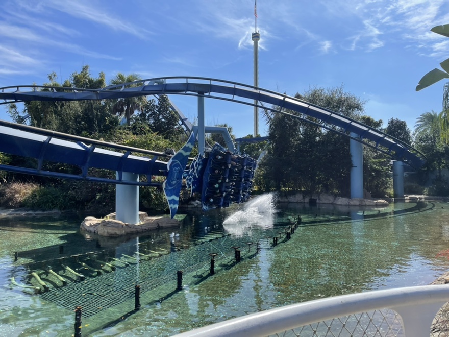 Manta Flying Roller Coaster at Seaworld Tips