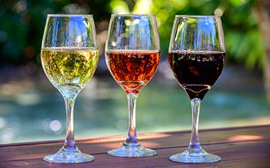 Seven Seas SeaWorld Orlando Drinks, Wine Tasting